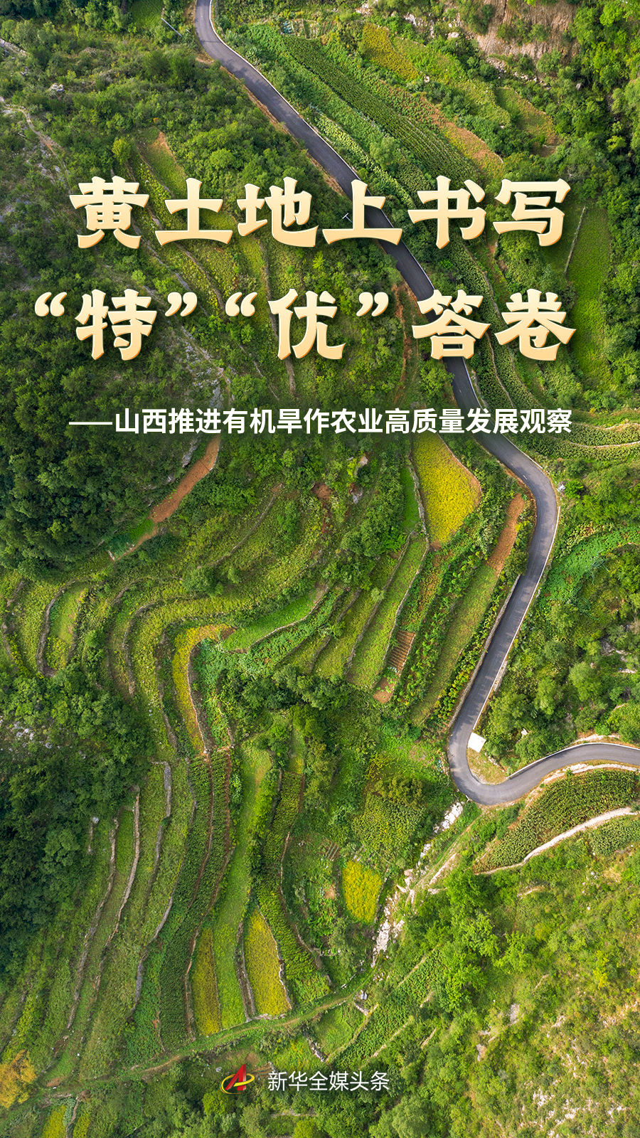 前沿体育资讯，尽在九游全站掌握 - jiuyou